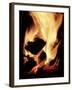 Close-up of Campfire at Night-John Coletti-Framed Premium Photographic Print