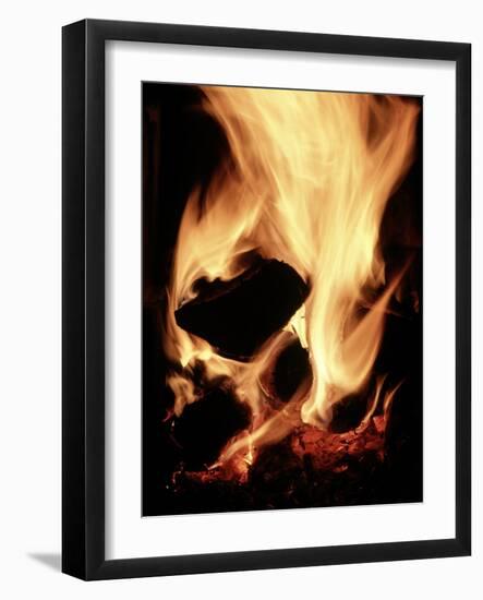 Close-up of Campfire at Night-John Coletti-Framed Photographic Print