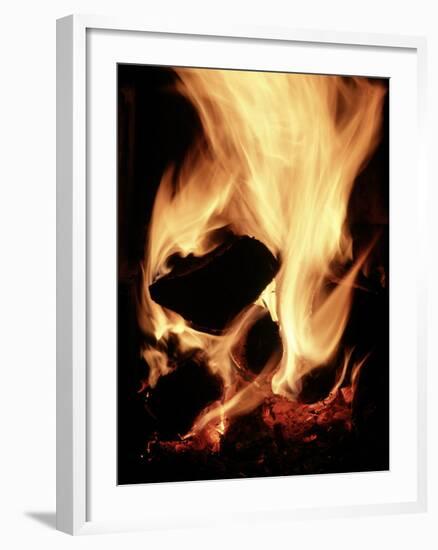 Close-up of Campfire at Night-John Coletti-Framed Photographic Print