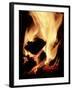 Close-up of Campfire at Night-John Coletti-Framed Photographic Print