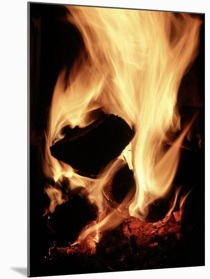 Close-up of Campfire at Night-John Coletti-Mounted Photographic Print