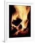 Close-up of Campfire at Night-John Coletti-Framed Photographic Print