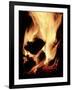 Close-up of Campfire at Night-John Coletti-Framed Photographic Print