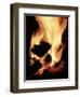 Close-up of Campfire at Night-John Coletti-Framed Photographic Print