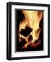 Close-up of Campfire at Night-John Coletti-Framed Premium Photographic Print