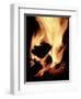 Close-up of Campfire at Night-John Coletti-Framed Premium Photographic Print