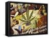 Close-Up of Cannabis Shop Sign, Amsterdam, the Netherlands (Holland)-Richard Nebesky-Framed Stretched Canvas