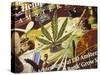 Close-Up of Cannabis Shop Sign, Amsterdam, the Netherlands (Holland)-Richard Nebesky-Stretched Canvas