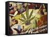 Close-Up of Cannabis Shop Sign, Amsterdam, the Netherlands (Holland)-Richard Nebesky-Framed Stretched Canvas