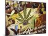 Close-Up of Cannabis Shop Sign, Amsterdam, the Netherlands (Holland)-Richard Nebesky-Mounted Photographic Print