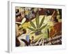 Close-Up of Cannabis Shop Sign, Amsterdam, the Netherlands (Holland)-Richard Nebesky-Framed Photographic Print