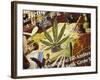 Close-Up of Cannabis Shop Sign, Amsterdam, the Netherlands (Holland)-Richard Nebesky-Framed Photographic Print