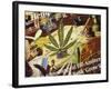 Close-Up of Cannabis Shop Sign, Amsterdam, the Netherlands (Holland)-Richard Nebesky-Framed Photographic Print