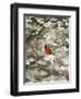 Close-up of Cardinal in Blooming Tree-Gary Carter-Framed Premium Photographic Print