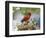 Close-up of Cardinal in Blooming Tree-Gary Carter-Framed Photographic Print