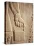 Close up of Carved Relief, Nimrud, Iraq, Middle East-Nico Tondini-Stretched Canvas