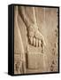 Close up of Carved Relief, Nimrud, Iraq, Middle East-Nico Tondini-Framed Stretched Canvas