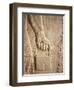 Close up of Carved Relief, Nimrud, Iraq, Middle East-Nico Tondini-Framed Photographic Print