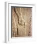 Close up of Carved Relief, Nimrud, Iraq, Middle East-Nico Tondini-Framed Photographic Print