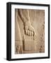 Close up of Carved Relief, Nimrud, Iraq, Middle East-Nico Tondini-Framed Photographic Print