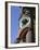 Close-up of Carved Totem in Vancouver, British Columbia, Canada-Robert Harding-Framed Photographic Print