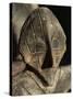 Close-Up of Carving, Vinca Culture, Belgrade Museum, Serbia-Adam Woolfitt-Stretched Canvas