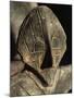 Close-Up of Carving, Vinca Culture, Belgrade Museum, Serbia-Adam Woolfitt-Mounted Photographic Print