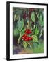 Close-Up of Cherries Hanging in Tree, Mosier, Oregon, USA-Jaynes Gallery-Framed Photographic Print