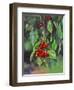 Close-Up of Cherries Hanging in Tree, Mosier, Oregon, USA-Jaynes Gallery-Framed Photographic Print