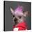 Close-Up Of Chinese Crested Dog With Pink Mohawk, 4 Years Old, In Front Of Grey Background-Life on White-Stretched Canvas