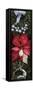 Close-up of Christmas ornaments and Poinsettia flowers-Panoramic Images-Framed Stretched Canvas