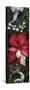 Close-up of Christmas ornaments and Poinsettia flowers-Panoramic Images-Stretched Canvas