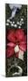 Close-up of Christmas ornaments and Poinsettia flowers-Panoramic Images-Mounted Photographic Print