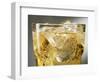 Close-up of Cider on Ice-Steve Lupton-Framed Photographic Print