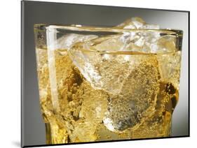 Close-up of Cider on Ice-Steve Lupton-Mounted Photographic Print