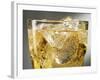 Close-up of Cider on Ice-Steve Lupton-Framed Photographic Print