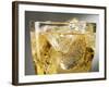 Close-up of Cider on Ice-Steve Lupton-Framed Photographic Print