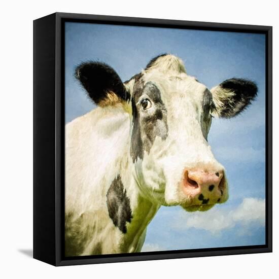 Close Up of Cow's Face-Mark Gemmell-Framed Stretched Canvas