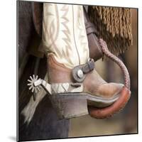 Close-Up of Cowboy Boot and Spurs at Sombrero Ranch, Craig, Colorado, USA-Carol Walker-Mounted Photographic Print