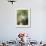 Close-up of Dandelion Seed Blowing in the Wind, San Diego, California, USA-Christopher Talbot Frank-Framed Photographic Print displayed on a wall