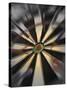 Close-up of Darts on a Dartboard-null-Stretched Canvas