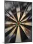 Close-up of Darts on a Dartboard-null-Mounted Photographic Print