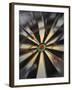 Close-up of Darts on a Dartboard-null-Framed Photographic Print