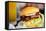 Close up of Delicious Fresh Burger with Cheese and Bacon-BlueOrange Studio-Framed Stretched Canvas