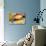 Close up of Delicious Fresh Burger with Cheese and Bacon-BlueOrange Studio-Stretched Canvas displayed on a wall