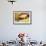 Close up of Delicious Fresh Burger with Cheese and Bacon-BlueOrange Studio-Framed Photographic Print displayed on a wall