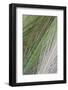 Close-Up of Dew Drops on Grass, San Marino, May 2009 Wwe Book. Wwe Indoor Exhibition-Möllers-Framed Photographic Print