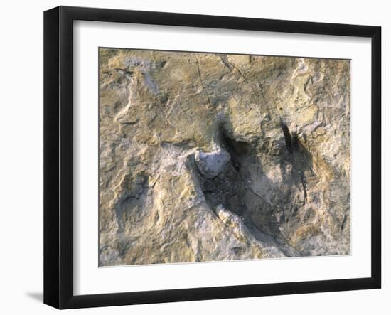 Close-Up of Dinosaur Footprint, Dinosaur Trackway, Clayton Lake State Park, New Mexico-Michael Snell-Framed Photographic Print