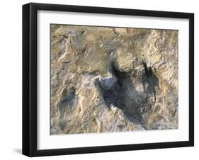 Close-Up of Dinosaur Footprint, Dinosaur Trackway, Clayton Lake State Park, New Mexico-Michael Snell-Framed Photographic Print