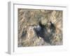 Close-Up of Dinosaur Footprint, Dinosaur Trackway, Clayton Lake State Park, New Mexico-Michael Snell-Framed Photographic Print